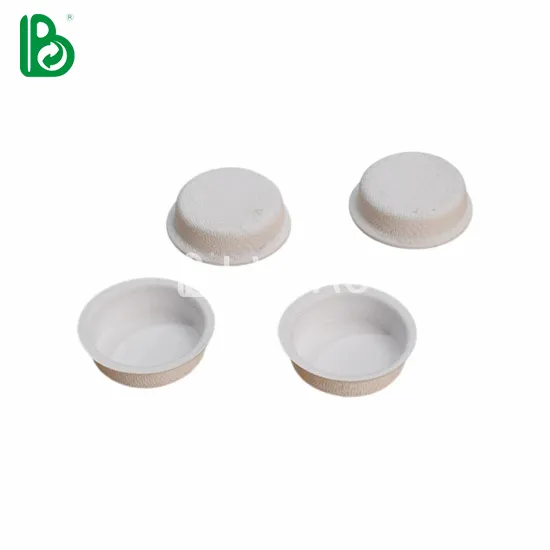 Lipstick Pulp Insert